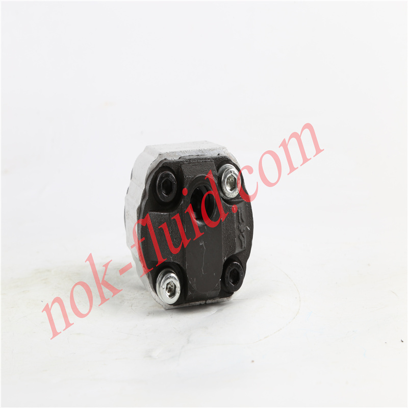 Brevini Gear Pump BFP10032DSAF