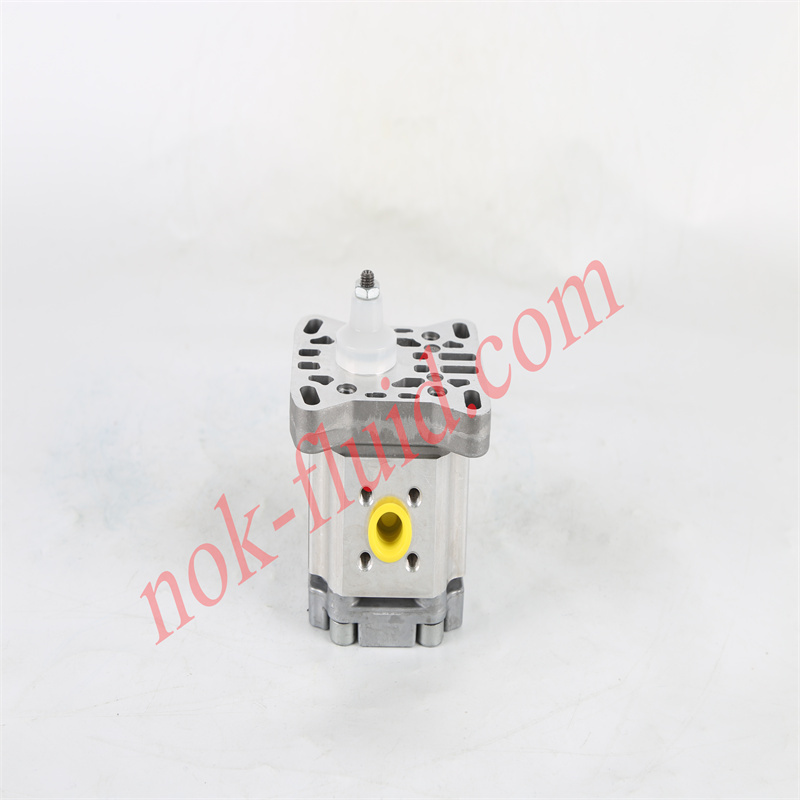 HPI GEAR PUMP P1BAN1004CL10B01N