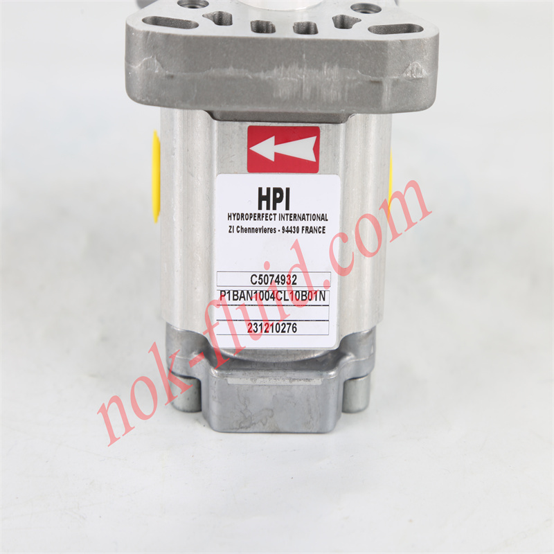 HPI GEAR PUMP P1BAN1004CL10B01N