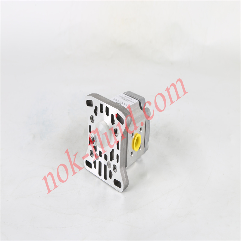 HPI GEAR PUMP P1BAN1004CL10B01N