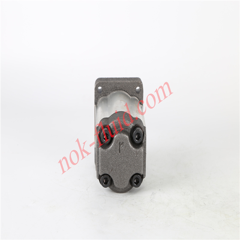 RONZIO GEAR PUMP 01ZAG42C401D