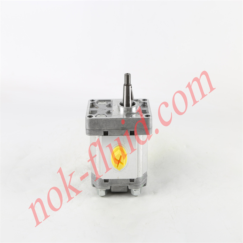 BONDIOLI GEAR PUMP HPLPA206DMLG4G4B00