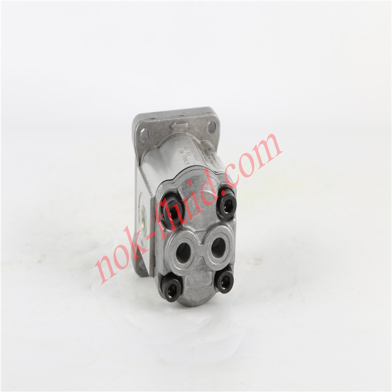 RONZIO GEAR PUMP 01ZA016C406D
