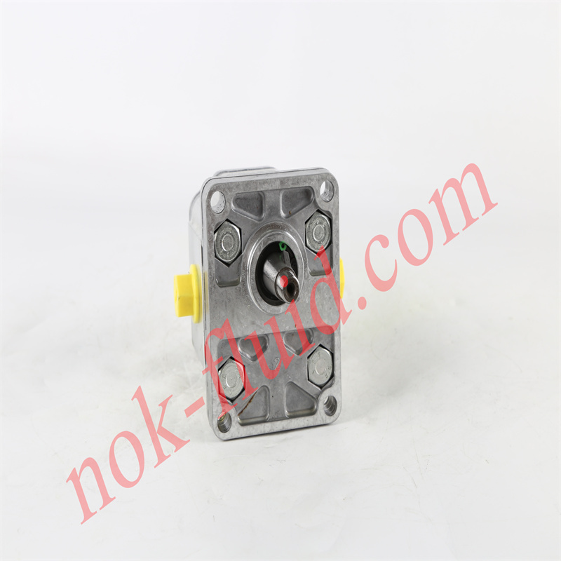 BONDIOLI GEAR PUMP HPLPA206DMLG4G4B00