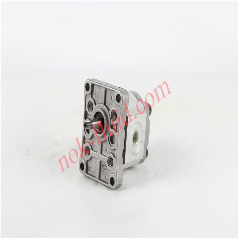 RONZIO GEAR PUMP 01ZA016C406D