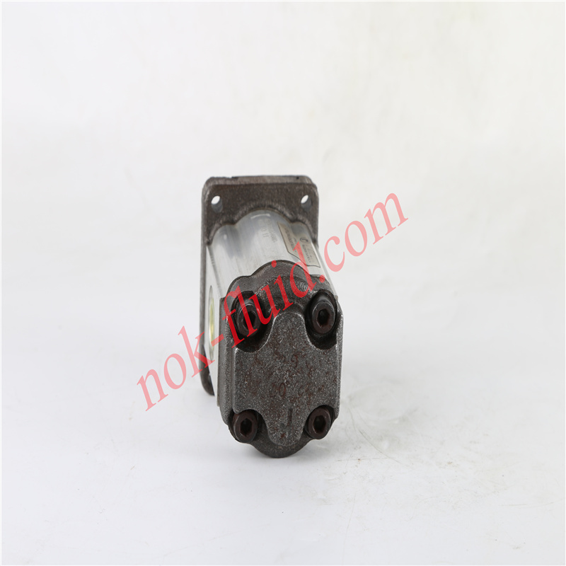 RONZIO GEAR PUMP 01ZAG62C401D