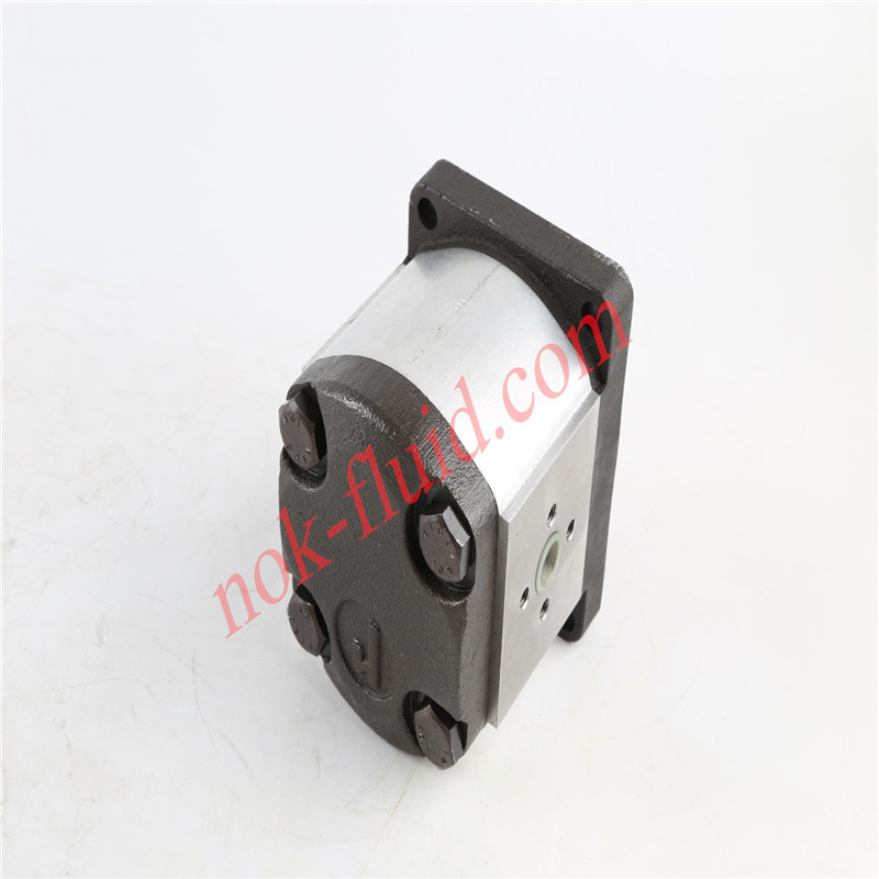 RONZIO GEAR PUMP 02ZAG08C032D