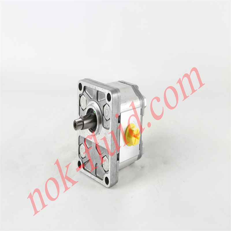 BONDIOLI GEAR PUMP HPLPA206DMLG4G4B00