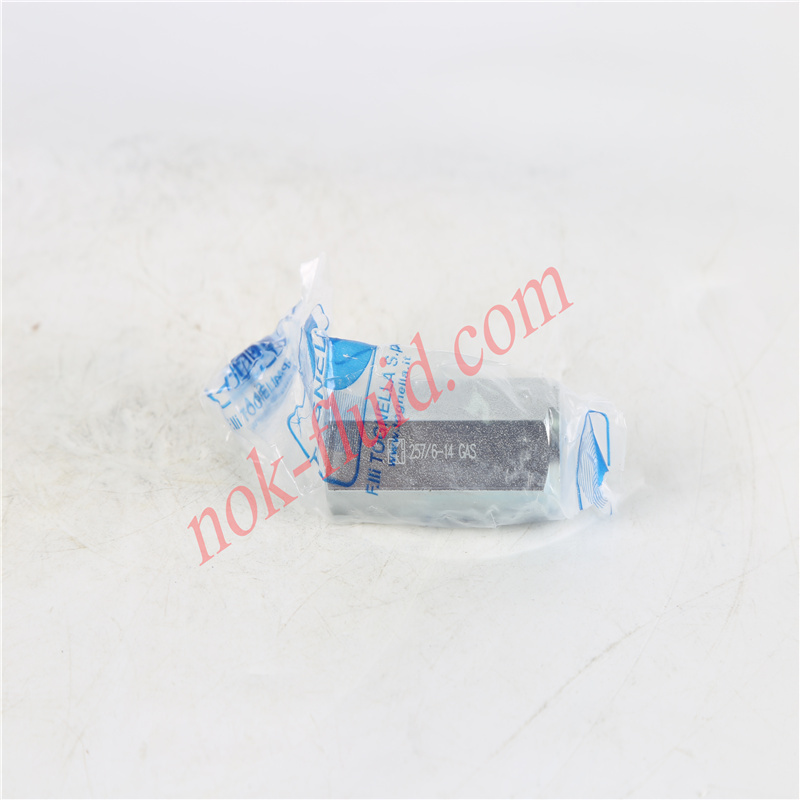 TOGNELLA CHECK VALVE FT257/6-14GAS