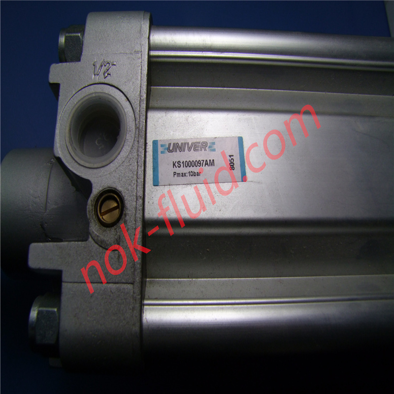 UNIVER CYLINDER KS1000097AM