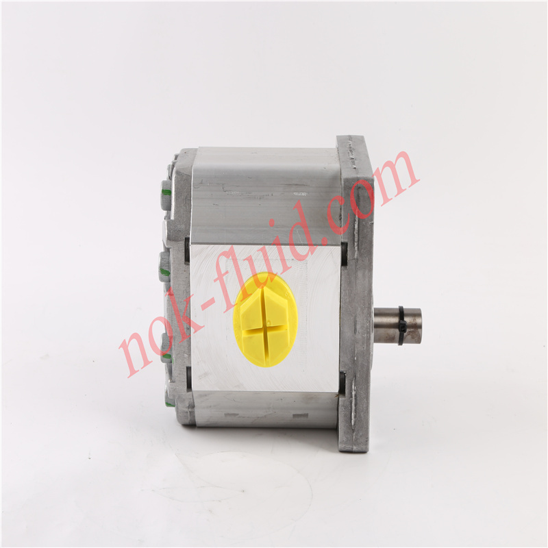 BONDIOLI GEAR PUMP HPLPA373SW4G8G7B00
