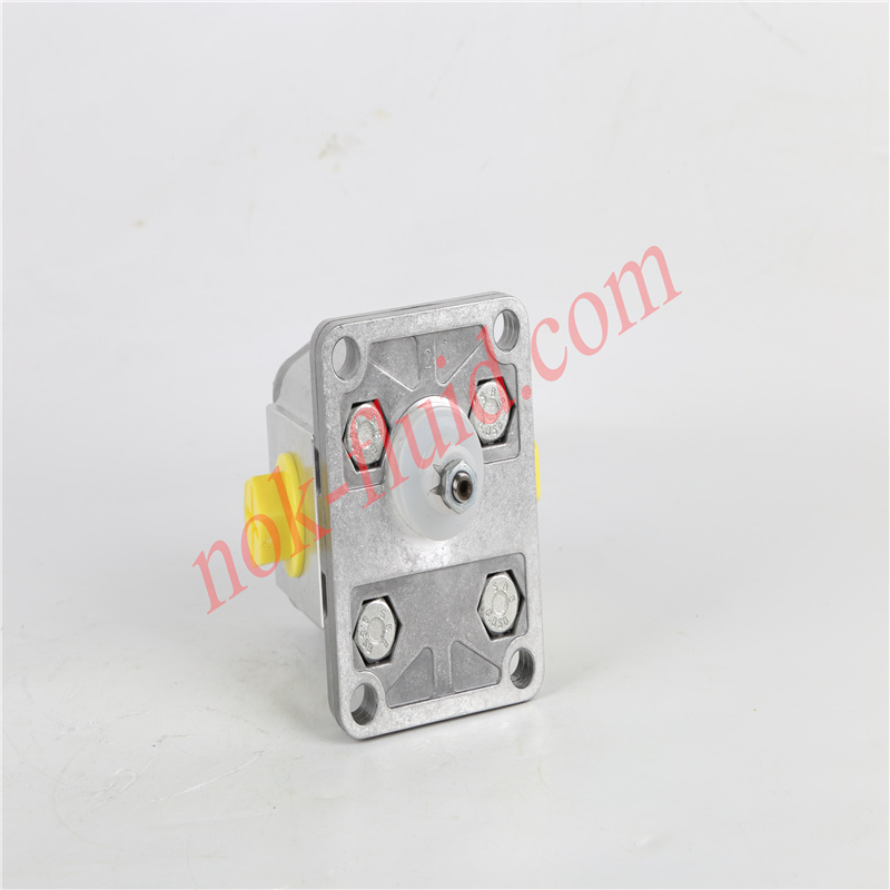 BONDIOLI GEAR PUMP HPLPA160DDDG4G4B00