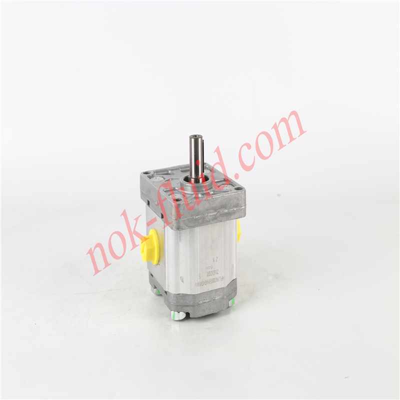 BONDIOLI GEAR PUMP HPLPA206SMNG4G4BHY
