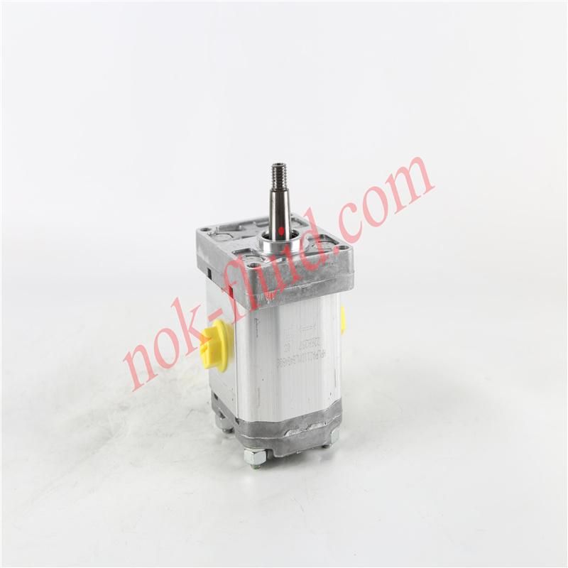 BONDIOLI GEAR PUMP HPLPA211DMLG4G4B00