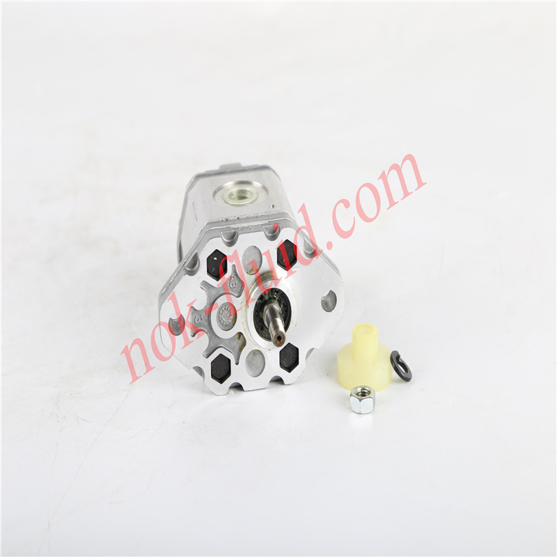 BONDIOLI GEAR PUMP HPLPA012DAAG2G2B00