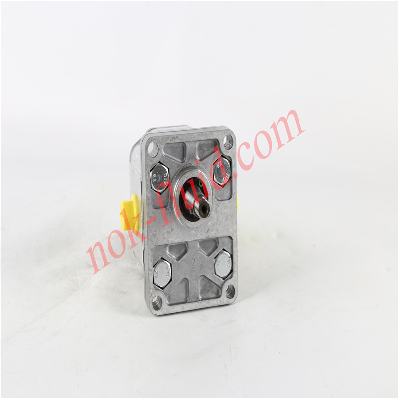 BONDIOLI GEAR PUMP HPLPA208DMLG4G4B00