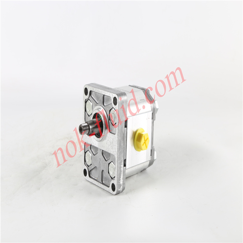 BONDIOLI GEAR PUMP HPLPA211DMLG4G4B00