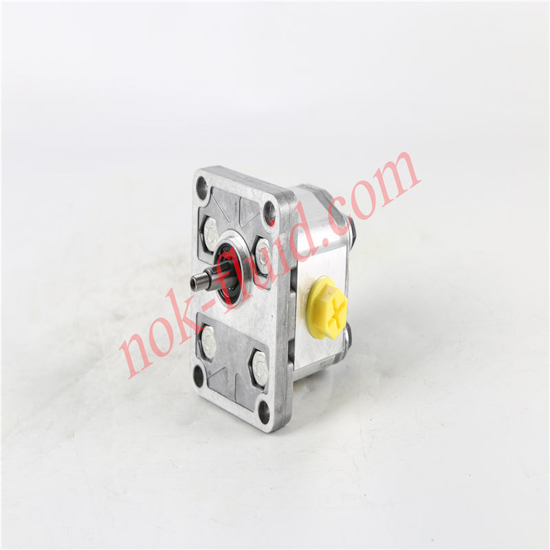 BONDIOLI GEAR PUMP HPLPA119DDDG3G3B00