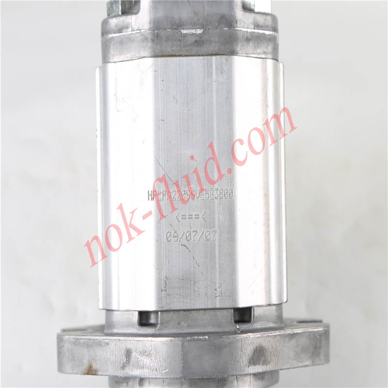 BONDIOLI GEAR PUMP HPLPA220SSVE5E3B00