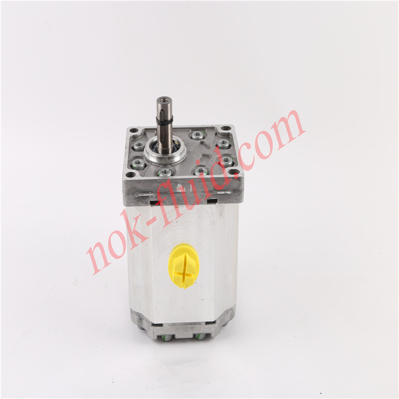 BONDIOLI GEAR PUMP HPLPA373SW4G8G7B00