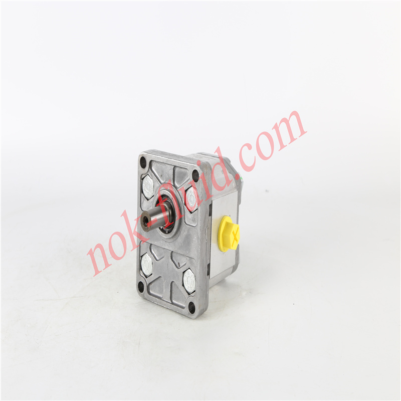 BONDIOLI GEAR PUMP HPLPA206SMNG4G4BHY