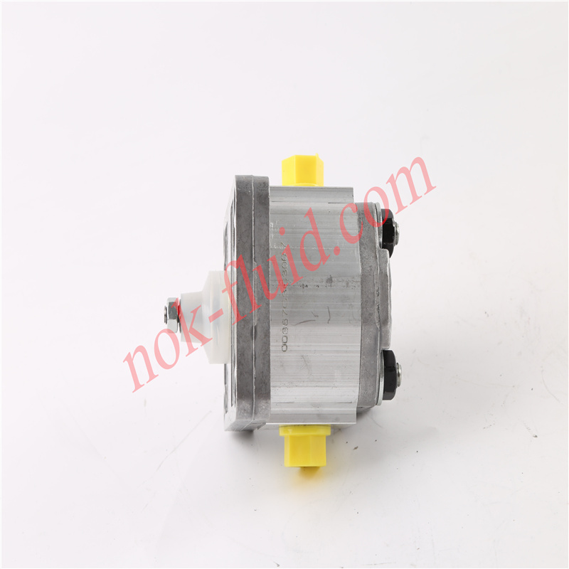 BONDIOLI GEAR PUMP HPLPA119DDDG3G3B00