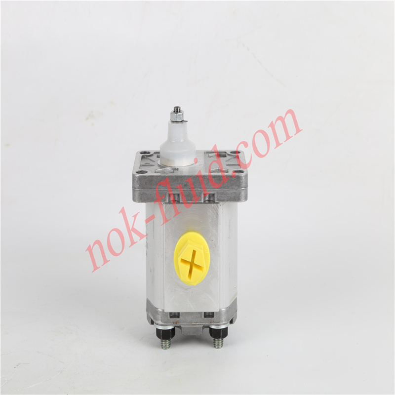 BONDIOLI GEAR PUMP HPLPA160DDDG4G4B00