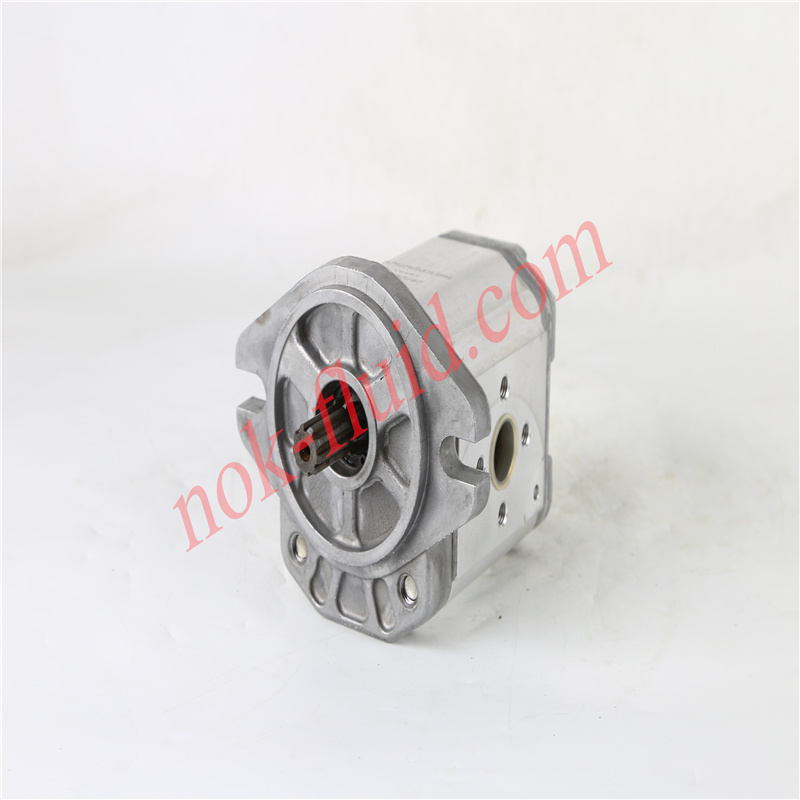 BONDIOLI GEAR PUMP HPLPA220SSVE5E3B00