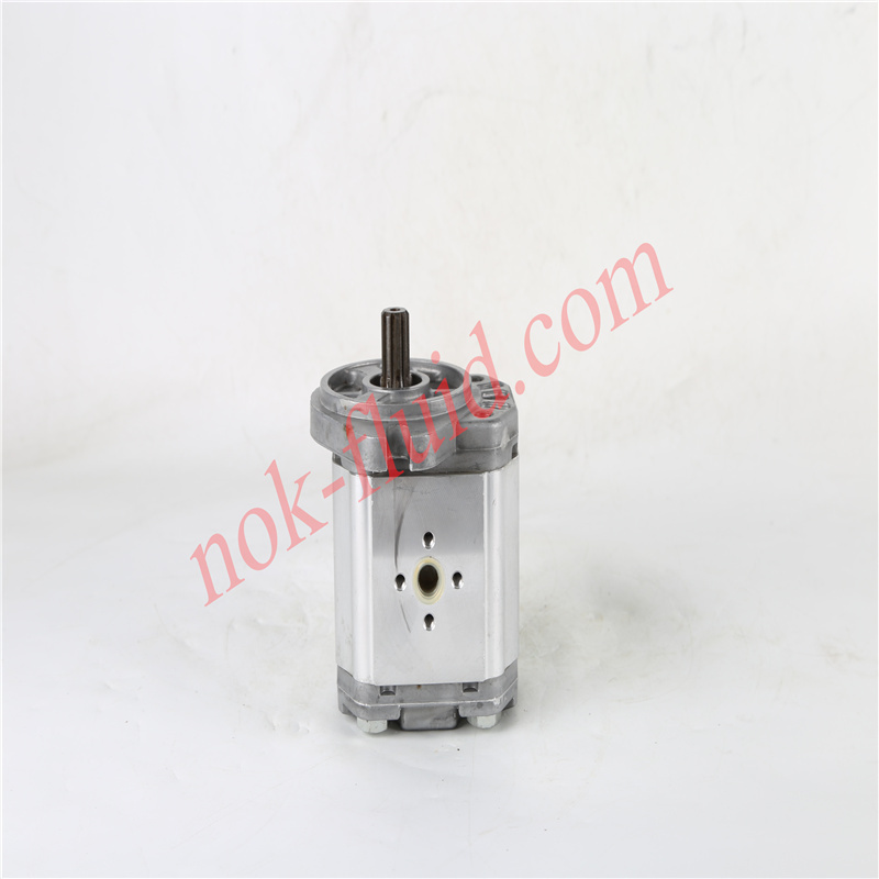BONDIOLI GEAR PUMP HPLPA220SSVE5E3B00