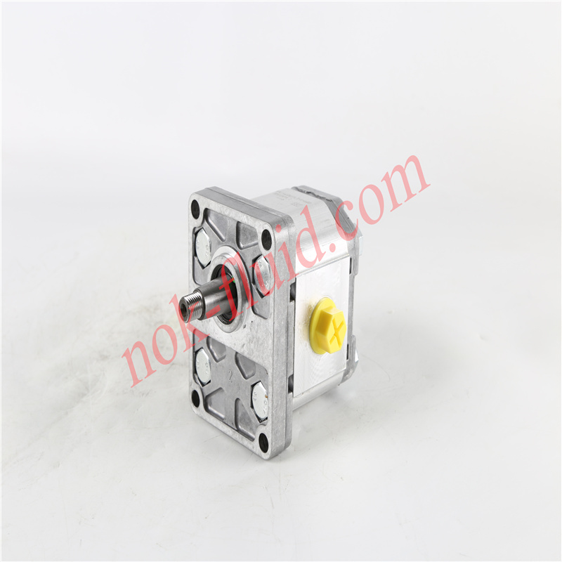 BONDIOLI GEAR PUMP HPLPA208DMLG4G4B00