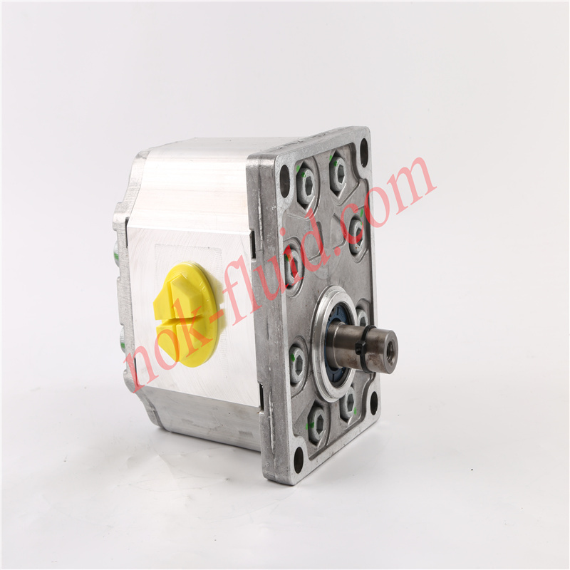 BONDIOLI GEAR PUMP HPLPA373SW4G8G7B00