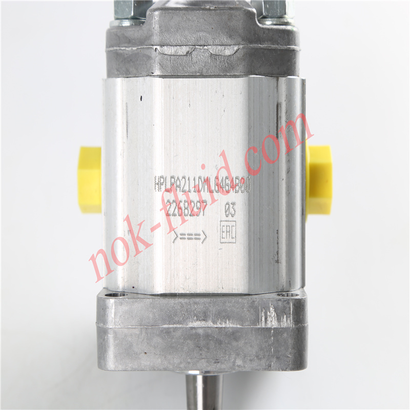BONDIOLI GEAR PUMP HPLPA211DMLG4G4B00