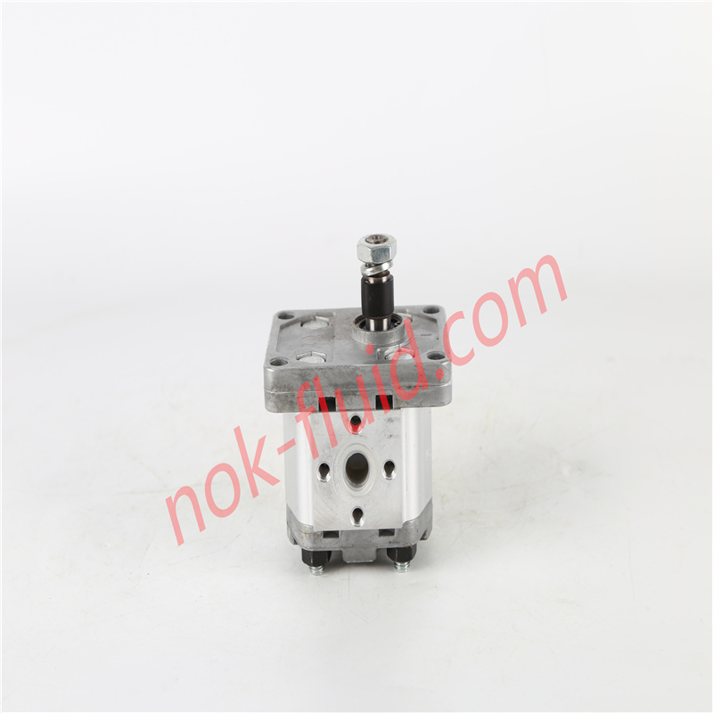 BONDIOLI GEAR PUMP HPLPA131DDEE3E3B00