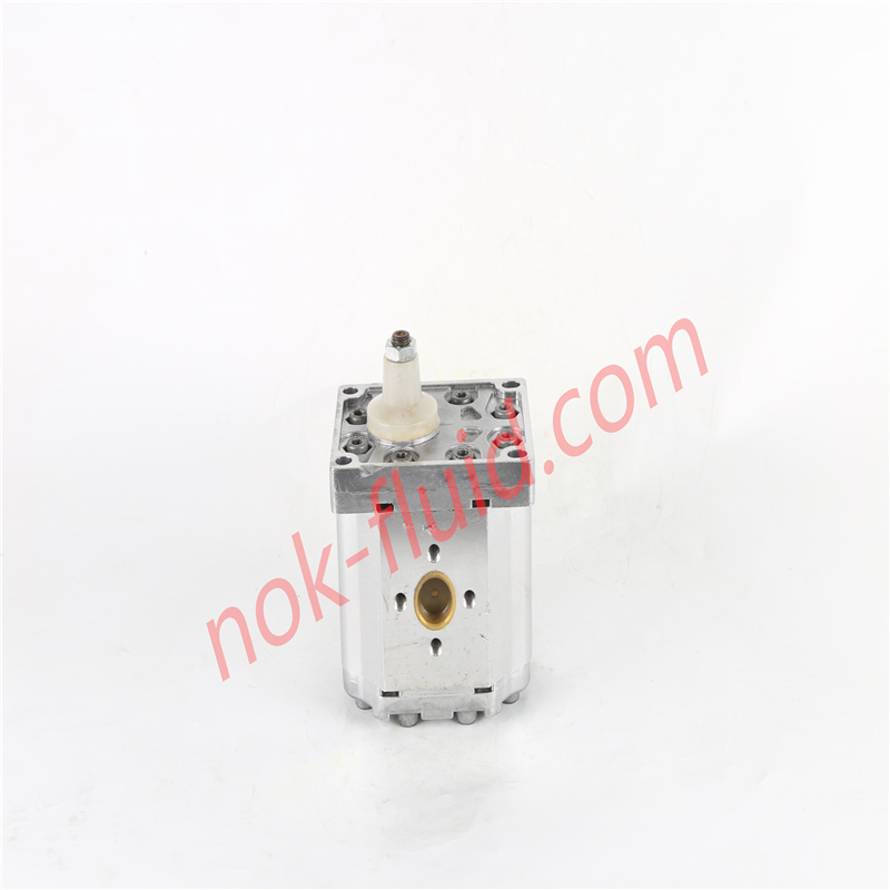 BONDIOLI GEAR PUMP HPLPT347DW2E7E5B01