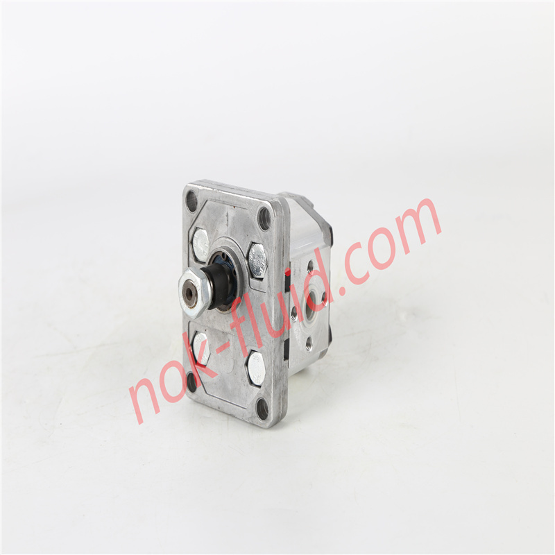 BONDIOLI GEAR PUMP HPLPA131DDEE3E3B00