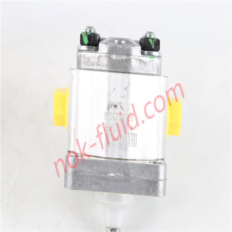 BONDIOLI GEAR PUMP HPLPT131DDDG3G3B00
