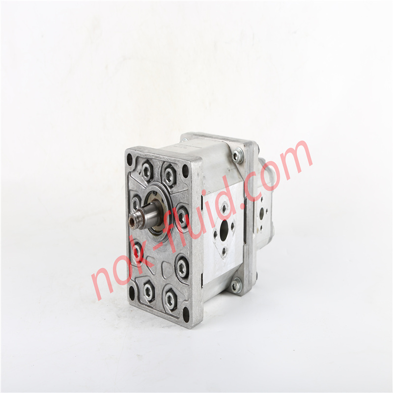 BONDIOLI GEAR PUMP HPLPT341DW2E7E5B00+HPLPT206DMLE3E3B00