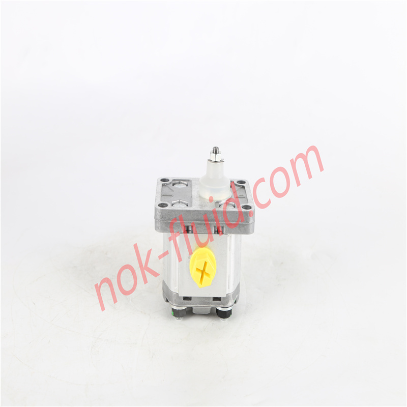 BONDIOLI GEAR PUMP HPLPT131DDDG3G3B00