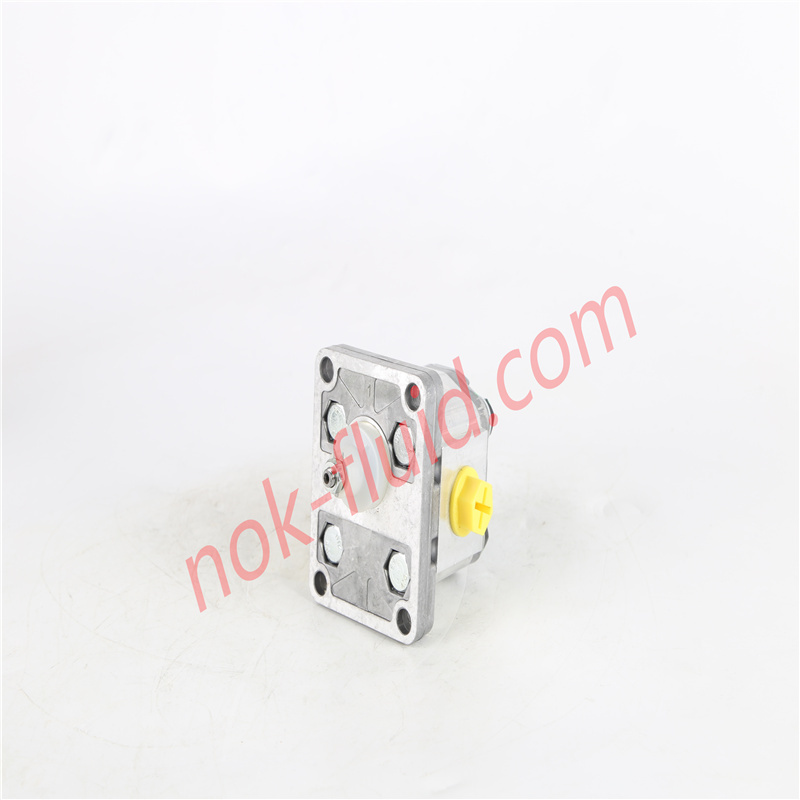 BONDIOLI GEAR PUMP HPLPT131DDDG3G3B00