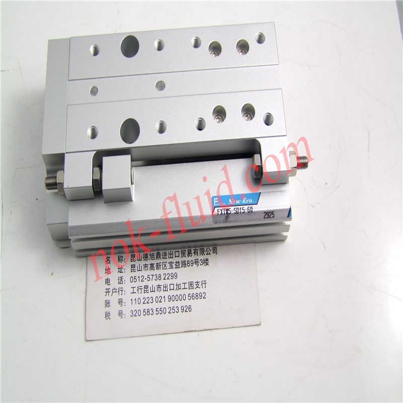 New era Pneumatic Cylinder FXTWS-SD15-60