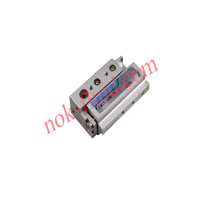 New era Pneumatic Cylinder FMTS-SD6-10