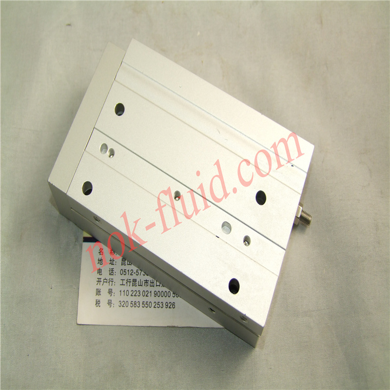New era Pneumatic Cylinder FXTWS-SD15-60