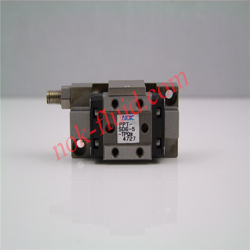 New era Pneumatic Cylinder PPT-SD6-5-TPQ*