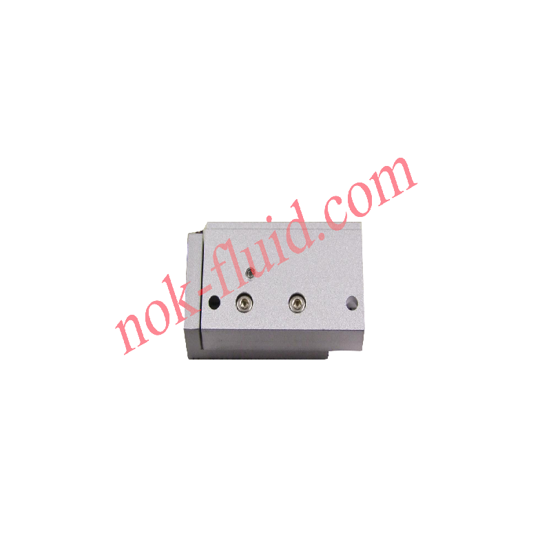 New era Pneumatic Cylinder FMTS-SD6-10