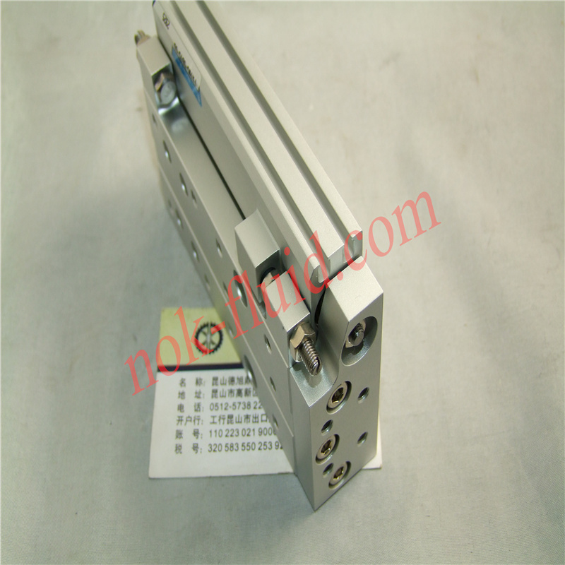 New era Pneumatic Cylinder FXTWS-SD15-60