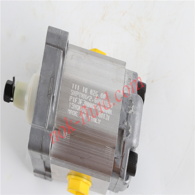 Danfoss Gear Pump SNP1NN/2.6RN01BAP1F3F3NNNN/NNNNN