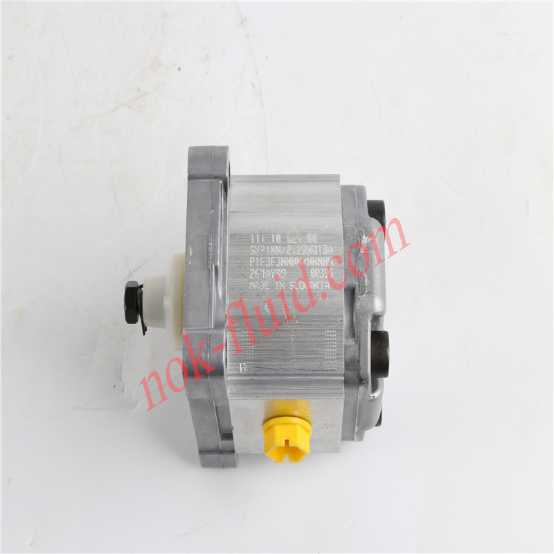 Danfoss Gear Pump SNP1NN/2.2RN01BAP1F3F3NNNN/NNNNN