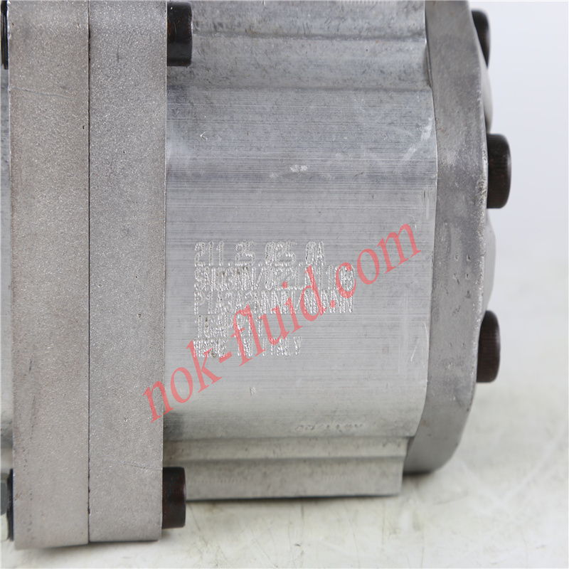 Danfoss Gear Pump SNW3NN/022LN07SLNNA3A2NNNN/NNNNN+SNQ3NN/022LN11DBP1A3A2NNNN/NNNNN