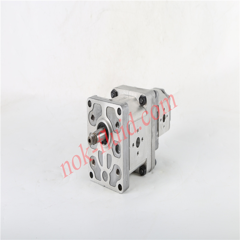 Danfoss Gear Pump SNP2/8D C031+SNP1/1.7D SC01