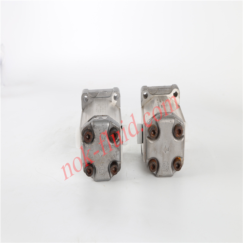Danfoss Gear Pump SNP1NN/3.8RN01BAP1F3F3NNNN/NNNNN